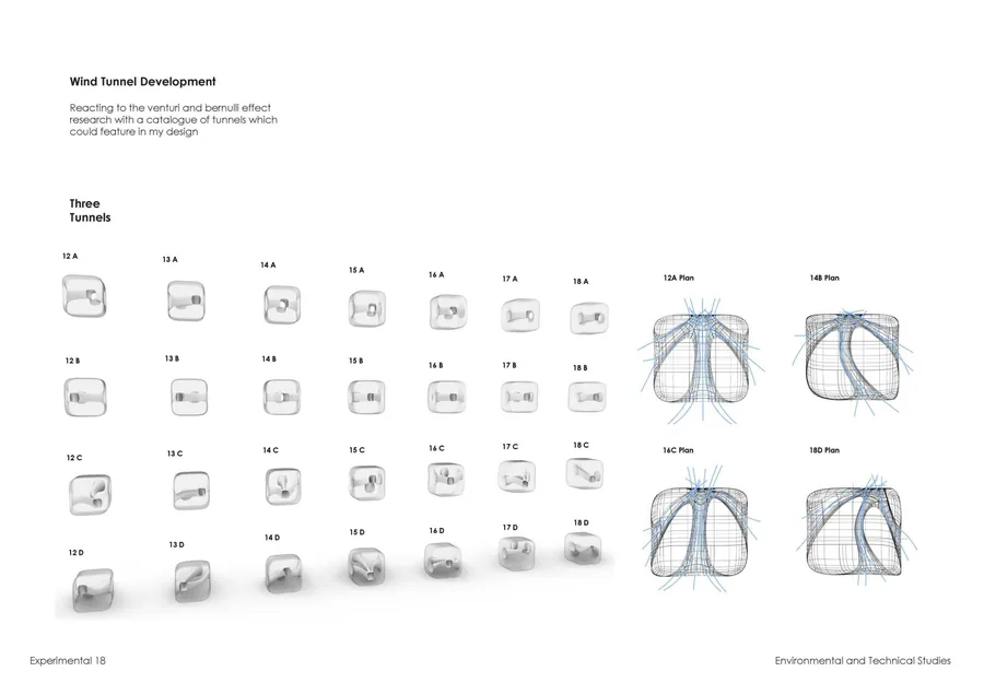 After looking at the macro scale, the project developed into looking at micro interventions between the wind tunnels and interior space.