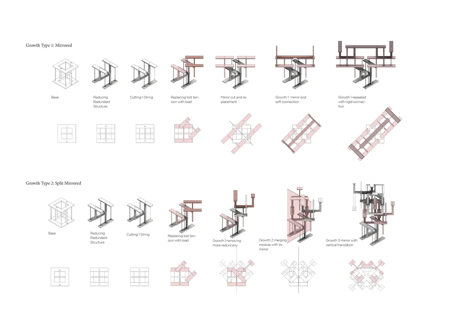 Metamorphosis - Tensegrity by Charles Oscar Dib