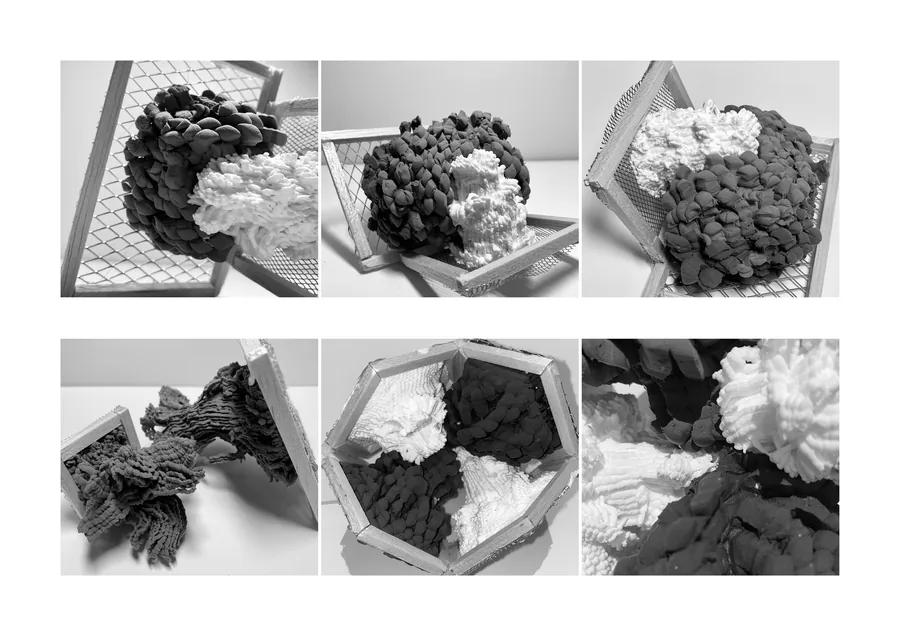 Further experiments (Spatial considerations)