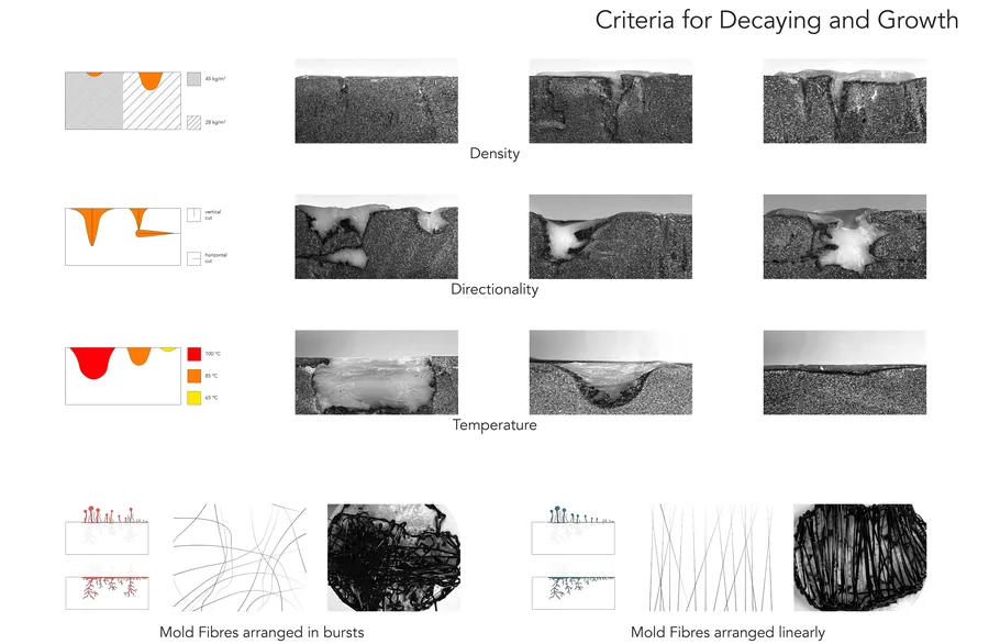 Hybrid research focused on the moulds process of decaying and growth, where with several wax and foam board experiments I’ve identified 3 criteria that create…