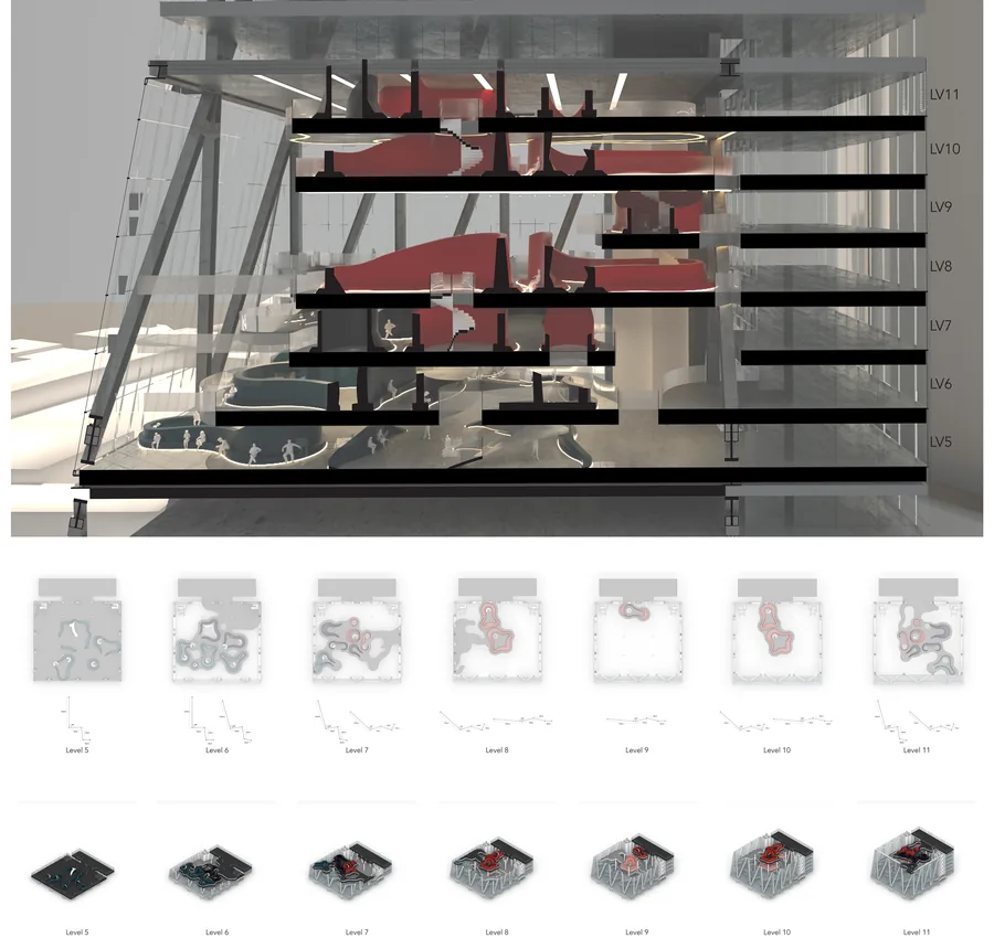 Section and plans portraying the aggregation through the building floor plates between levels 5 and 11. Moreover, showing the ergonomics application going from…