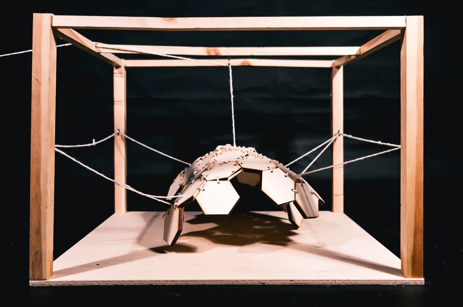 Dome Model. Implement changes in the surface by adjusting the number of ropes at the connections. At the center, the number of links was maximum, and as it…