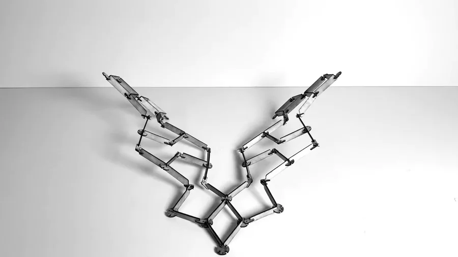 Hybrid system - one of the regional modules performing a controlled regional form changing