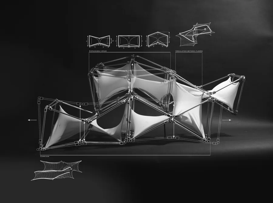 Spatial speculations of 4 cell agreggate.