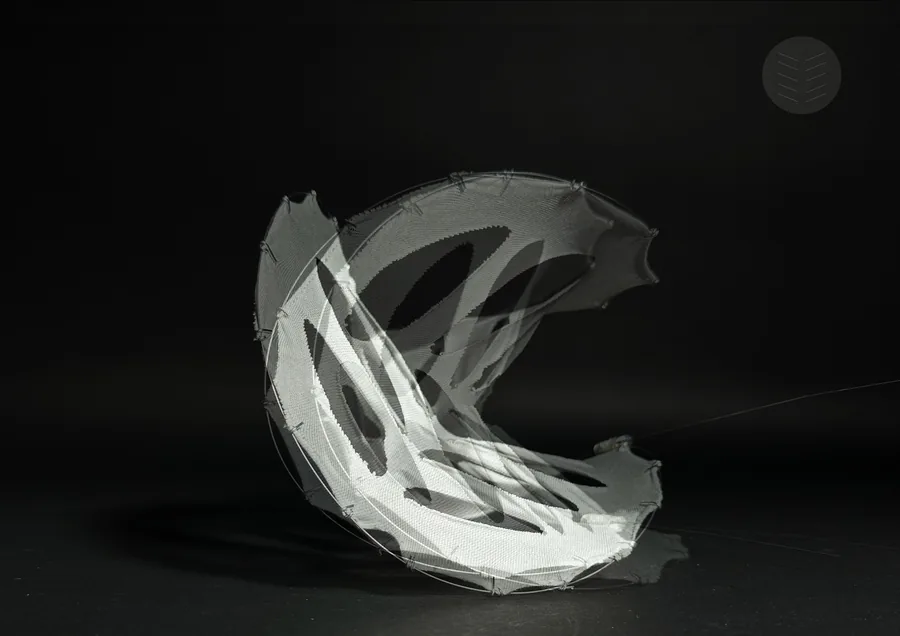A module that explores the interplay between frame and fabric, where the fabric constrains and regulates the expansion of the frame, while the frame imposes…