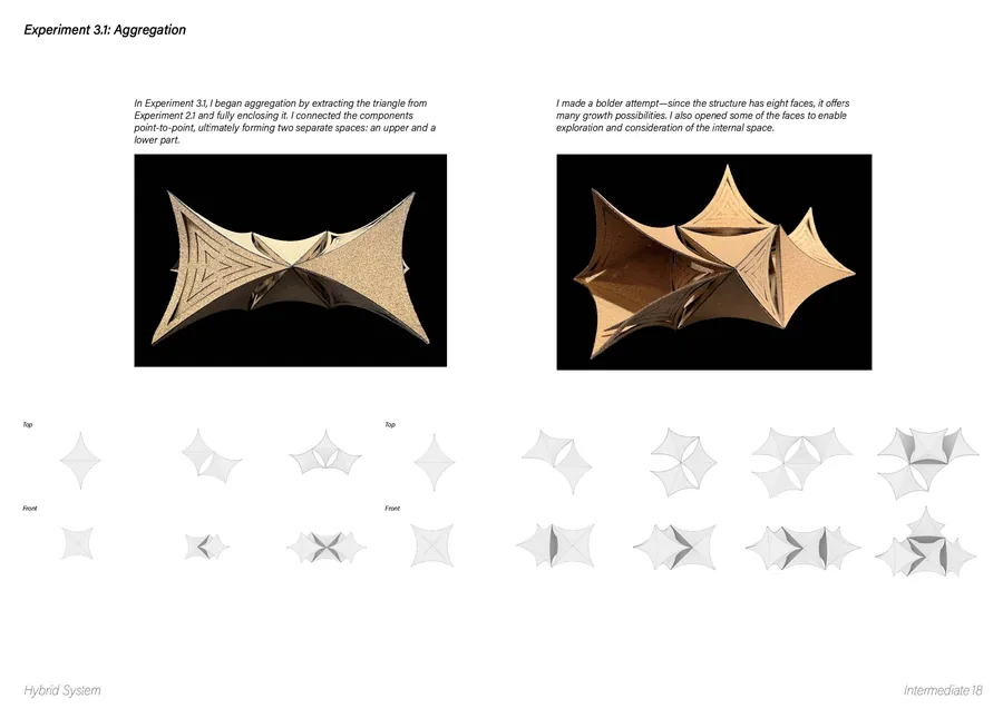 The "Resonance" Center by Yuxuan Sun